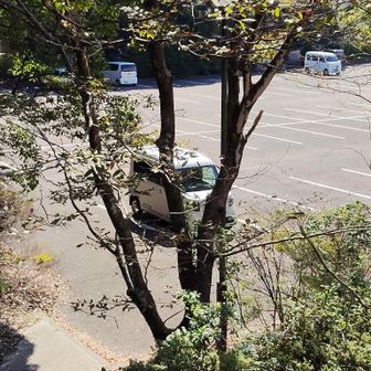 駐車場🅿️に戻ってきました。