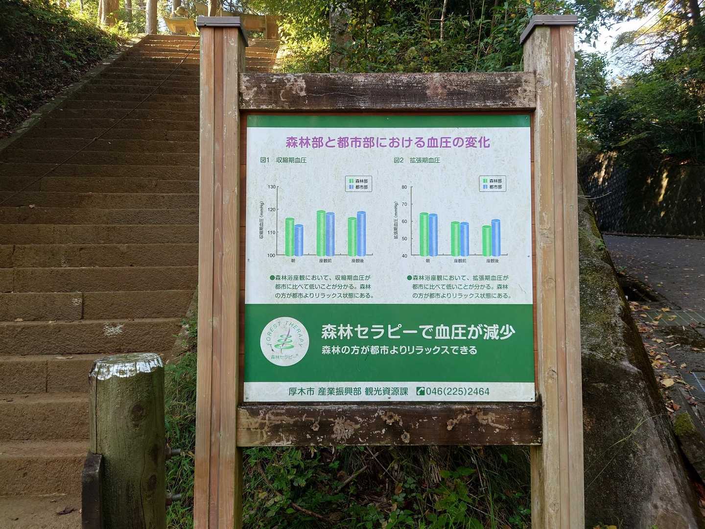 登山道全域が森林セラピーロードでもあります