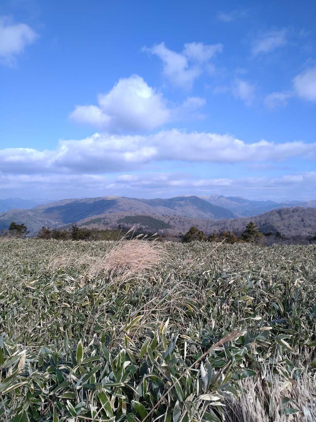 わかりにくいかもしれませんが、手前は青砂、その後ろに小桧曽山、右には土佐矢筈山。