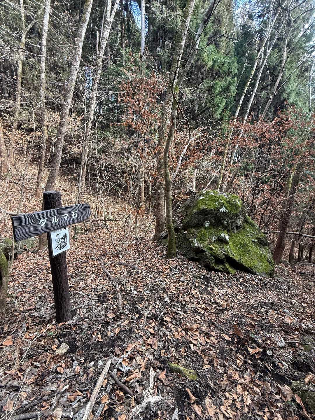 国見山登山口-国見山-山の神 往復コースの写真