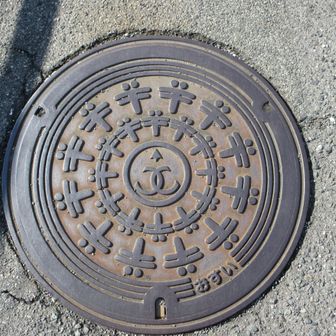 赤トンボのマンホール