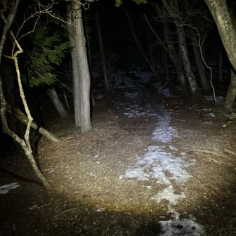 と期待したのも束の間
こんな様子😨