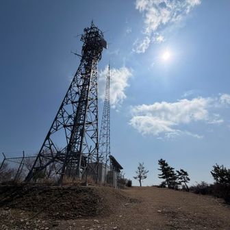 ピーカンの花粉日和です🤧🤧🤧