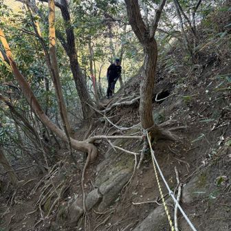 急斜面ロープ場⚠️
戻る時にロープ掴まないで、滑り落ちました😰
大した事のない擦り傷で済みましたが、低山での遭難や事故が多いのはこういう事だと思い知りました。掴んで慎重に行けば大丈夫です