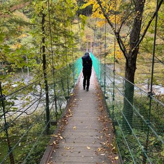 草すべりルートで下山！麓は紅葉🍁