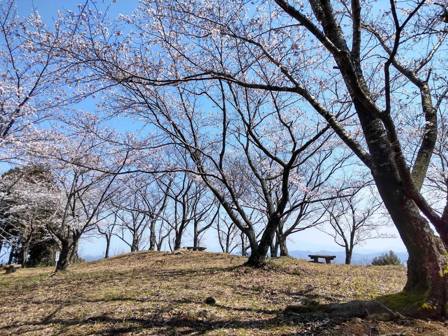 岩舟登山道入口-車山-車山登山道入口 周回コースの写真