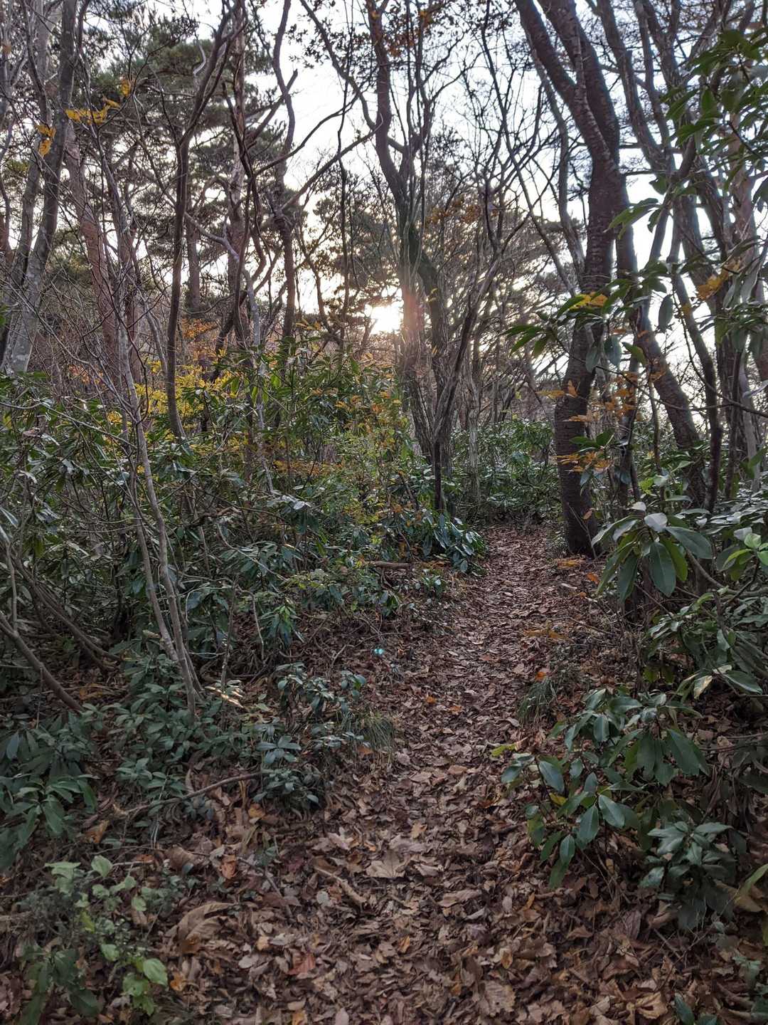 多宝山に来たくなる理由は静かだからかな