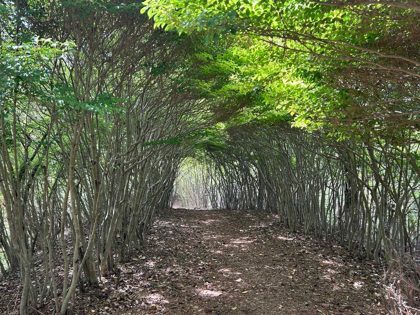 景色が違って見えた👏😊 岩石山での「トレーニング成果