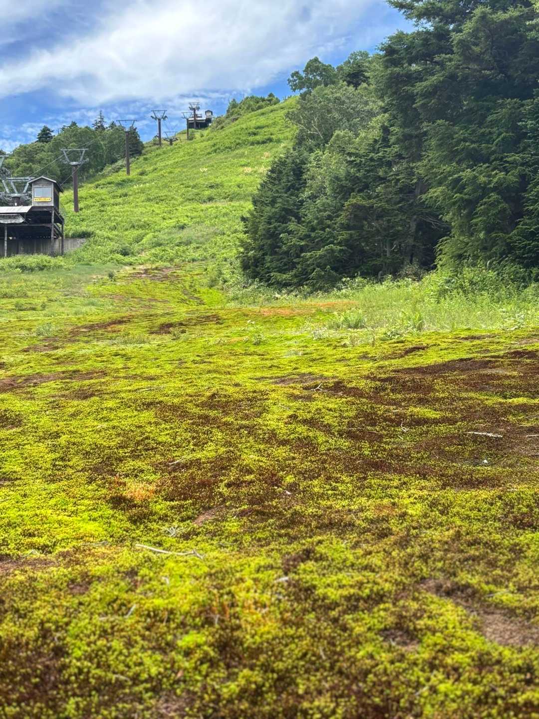 笠岳峠-笠ヶ岳 往復コースの写真
