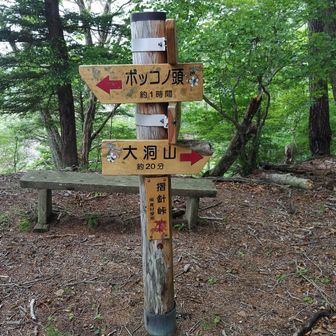 摺針峠
