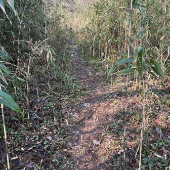 ヒル大丈夫かな〜