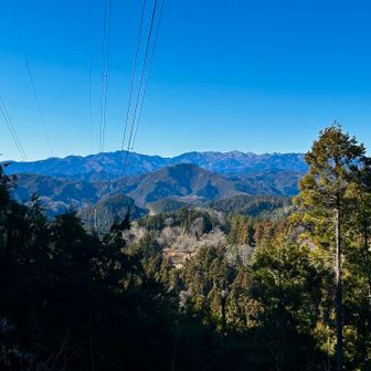 川苔山やらいろいろniceview