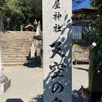 高屋神社⛩️
天空の社
天空の鳥