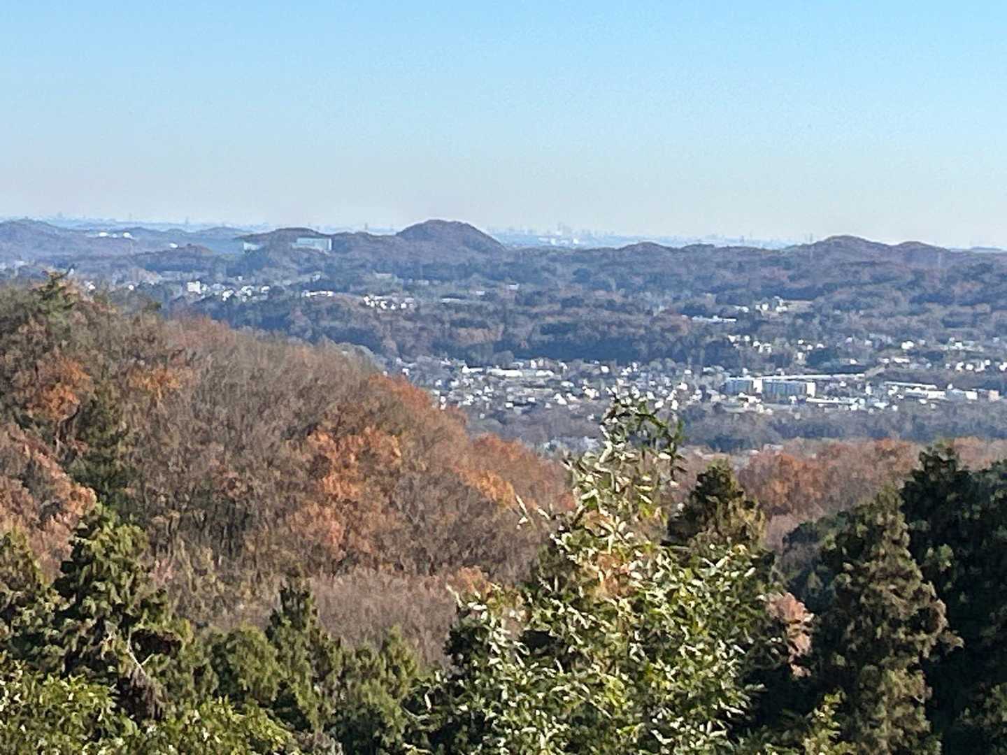 見えましたよ🗼