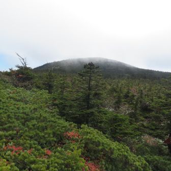 今度は本当の山頂