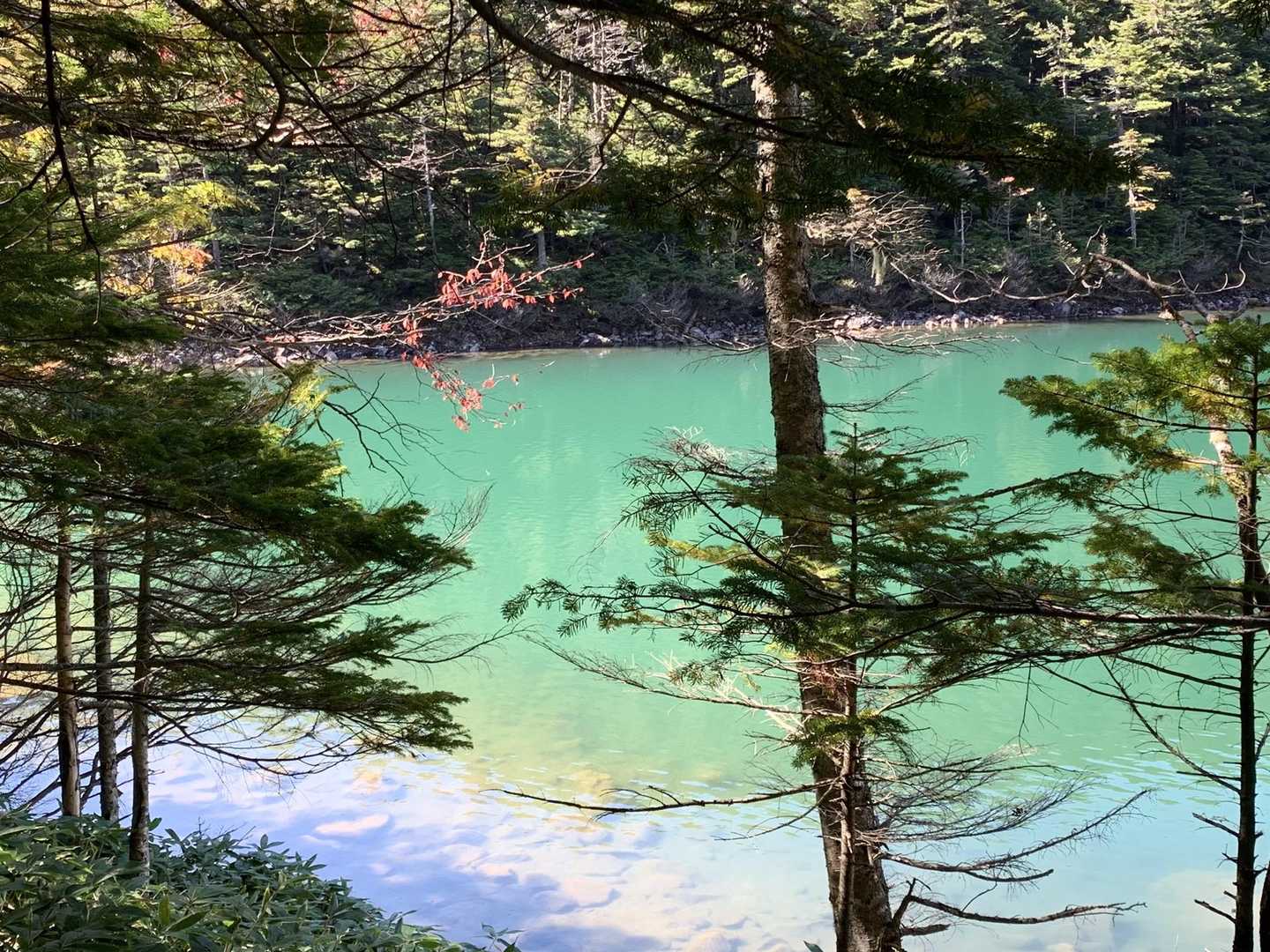 角度(場所)によって色が変わる✨