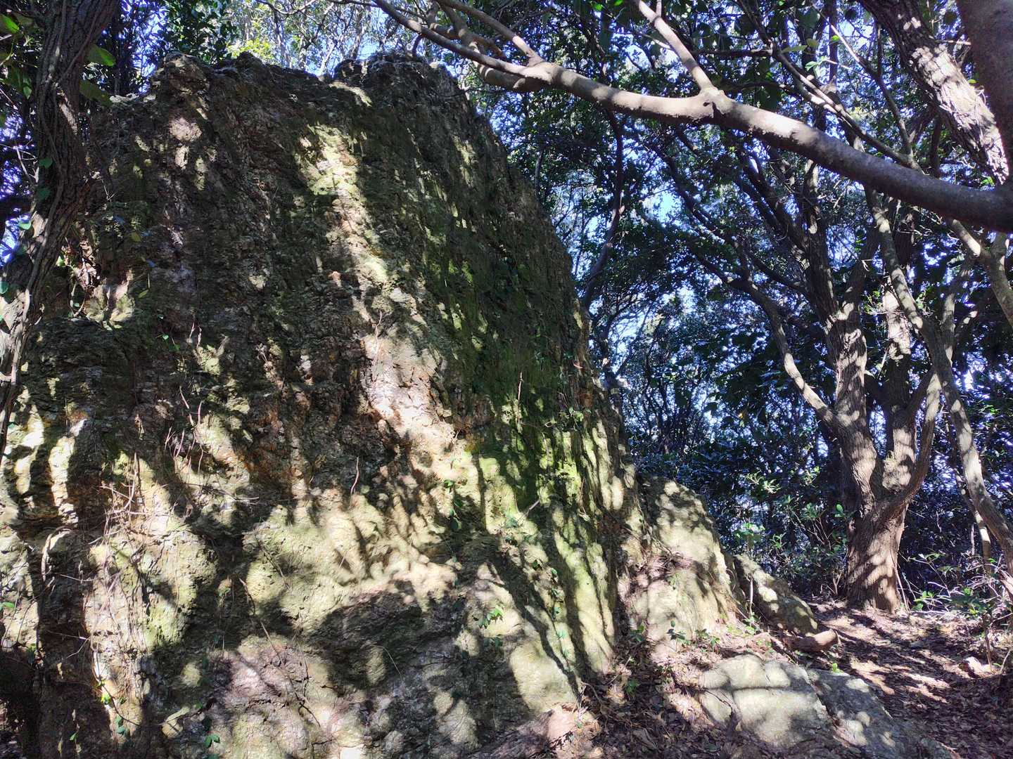 特に眺めはないです⤵️