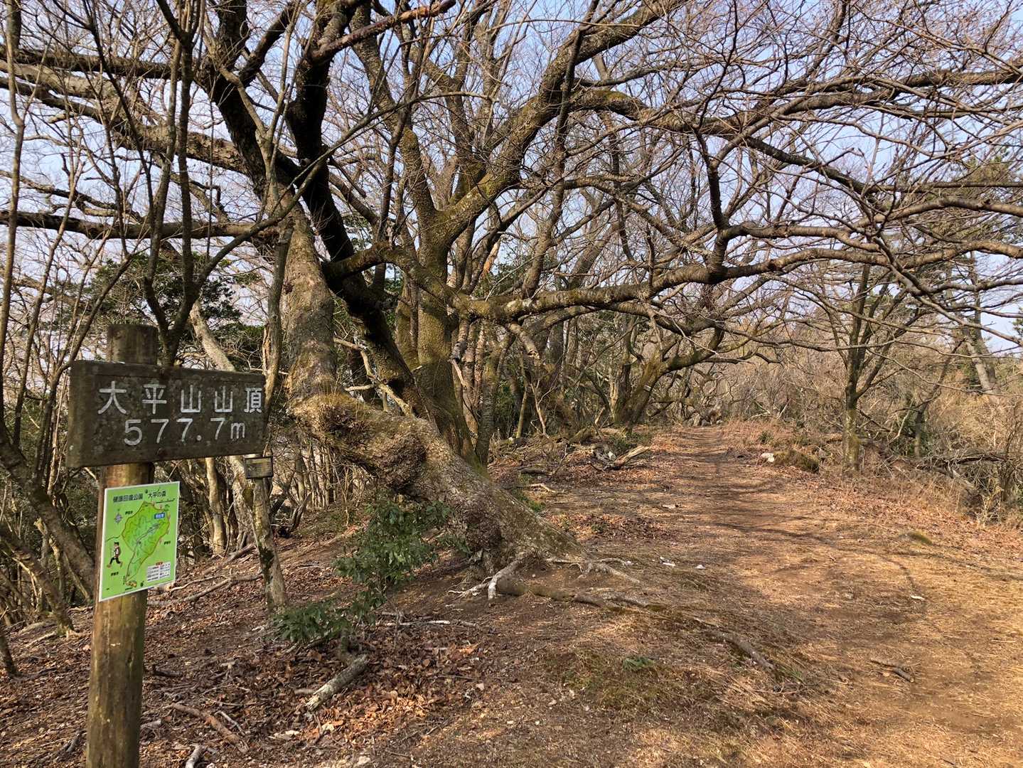 大平山-柏峠 縦走コースの写真