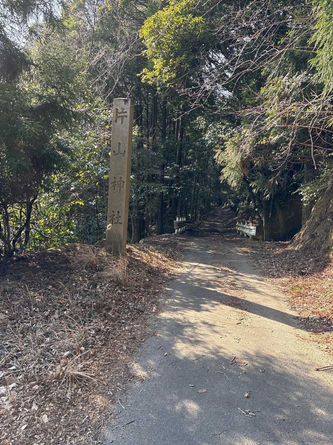 舗装路をしばらく。で、ここから、山側に入ります。