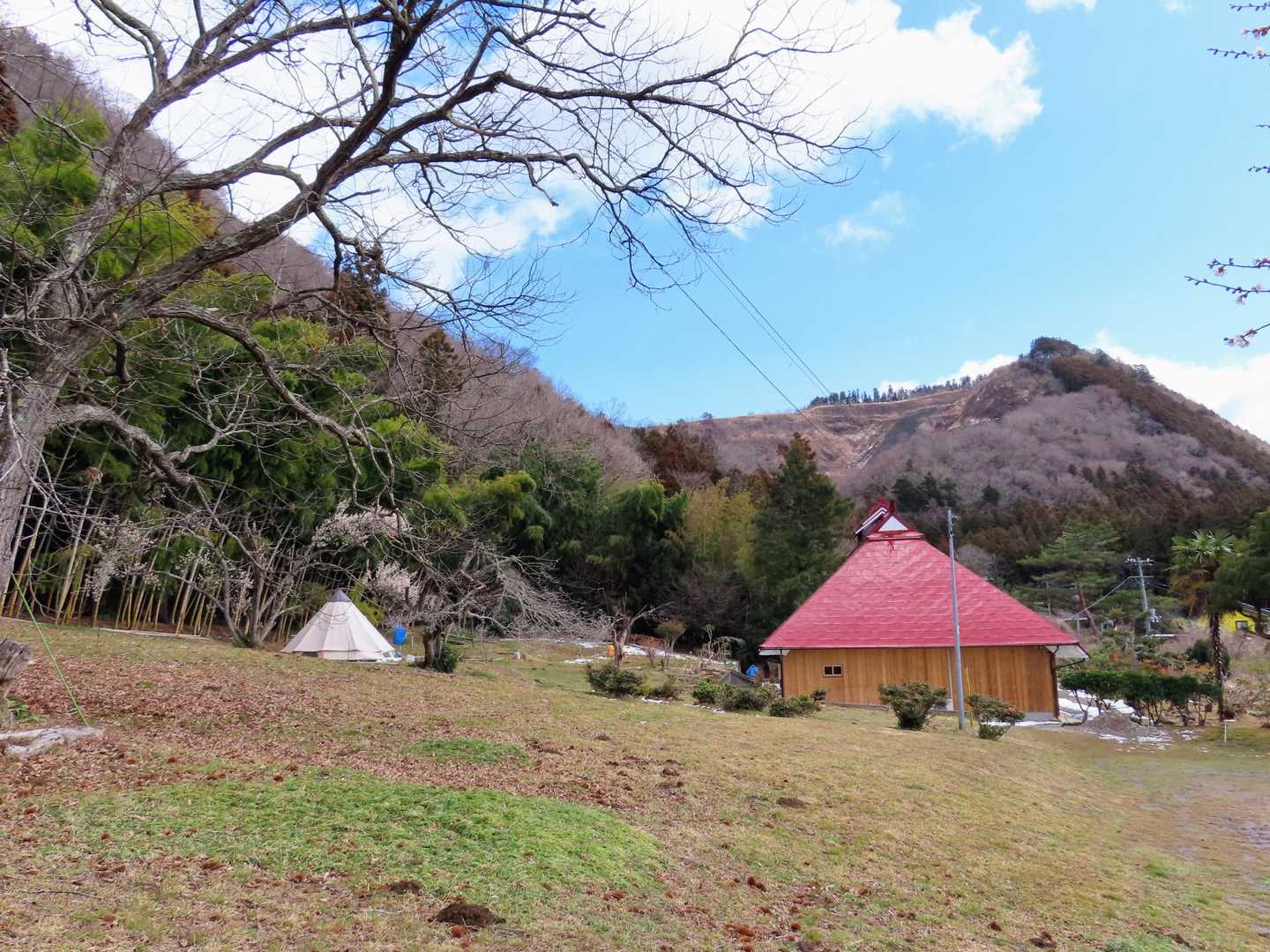 
なんだか明るい♪と思ったのは、この開けた雰囲気と、子供たちの賑やかな声のおかげでした。
なんとここは幼稚園📛
自然に囲まれた森の幼稚園でした🌳
