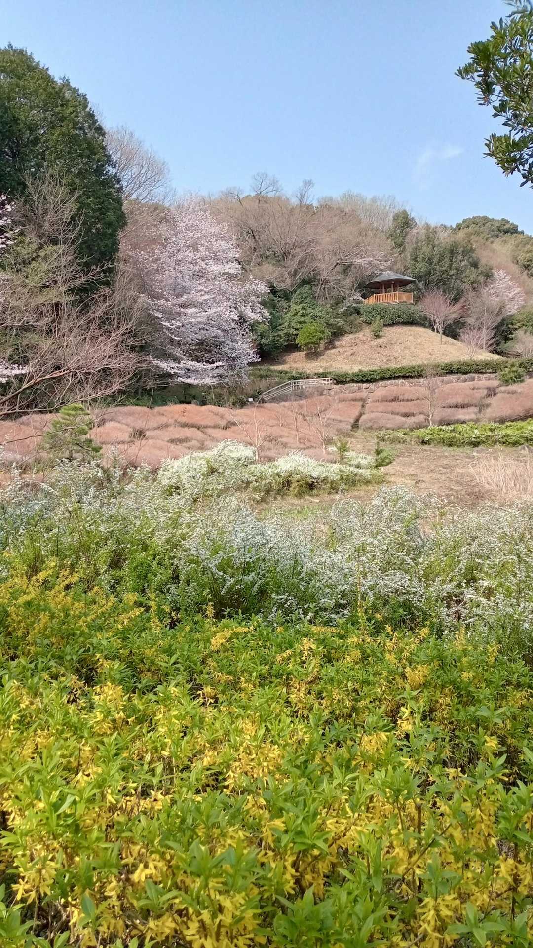 東三河ふるさと公園メインゲート-遠見山-東三河ふるさと公園 周回コースの写真