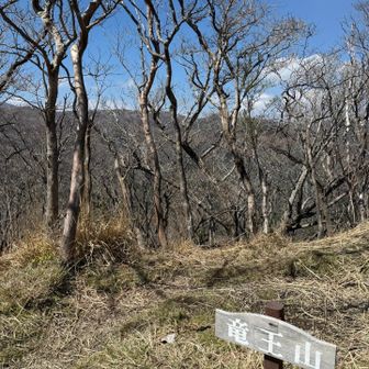 山頂は林の中です