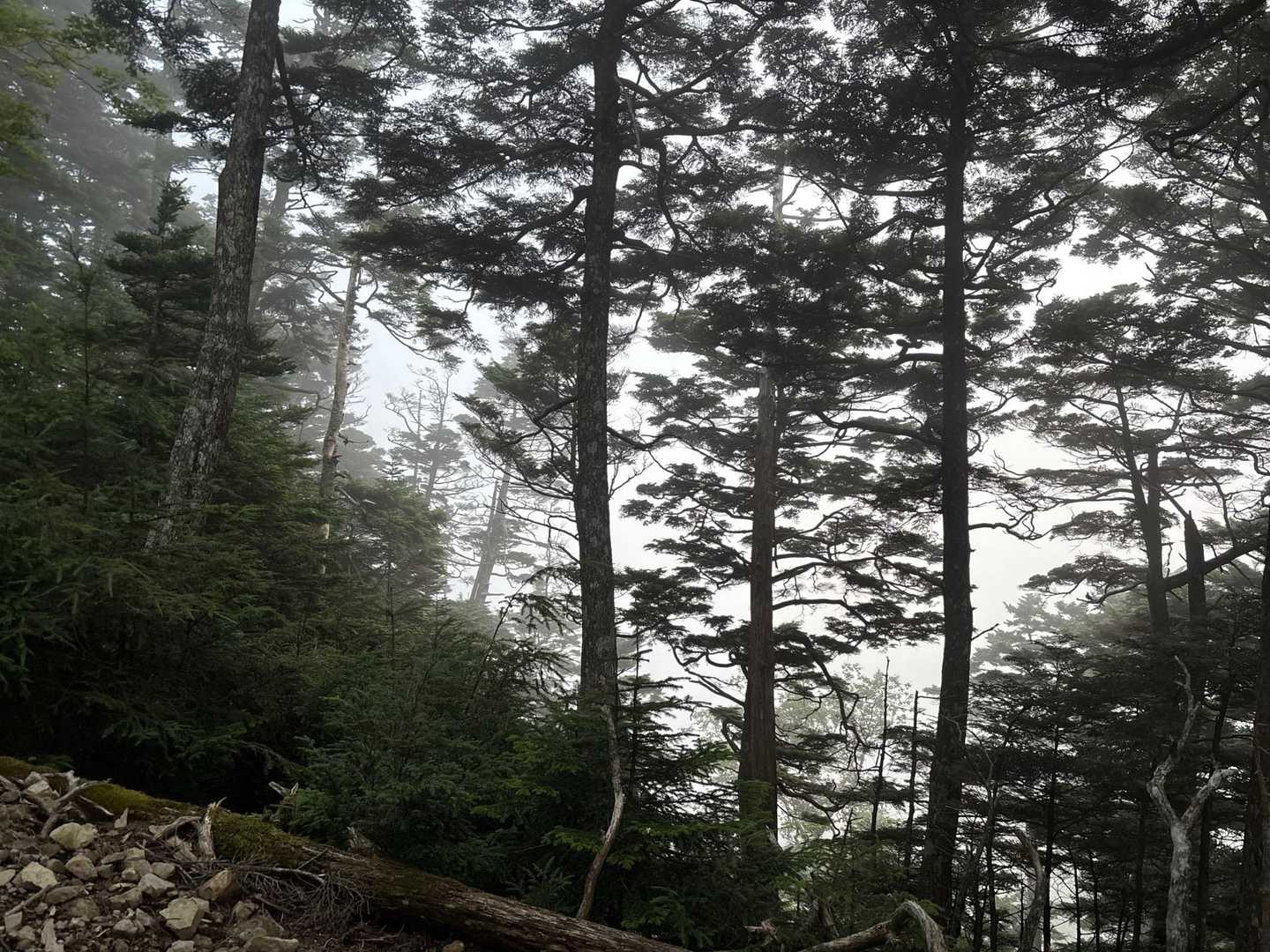 三吉平-易老岳-易老渡 縦走コースの写真