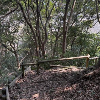 ここからは山っぽい道ようやく。途中ですれ違った自転車ひいてたおにいさんこの階段部大丈夫だったかしら