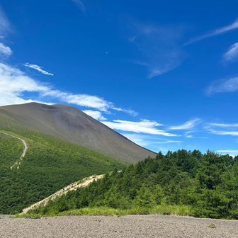 ユーザーapplepie