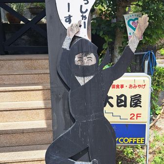 カフェいや食堂の名前が「大日屋」ってめちゃめちゃ昭和レトロ　
でも、店内は意外とお洒落