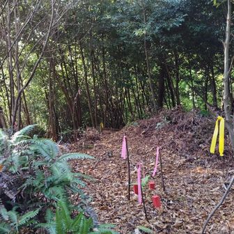 △グレー3ピーク③天神山

ここも武田軍の陣跡だが、展望なし。