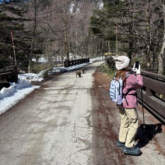 「水が綺麗だね〜」と橋の上から撮影📸していると、後ろから忍び寄る影が…