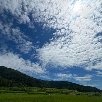 WooooW

今日もありがとう
宝筐山⛰️