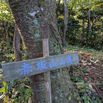 山頂です！