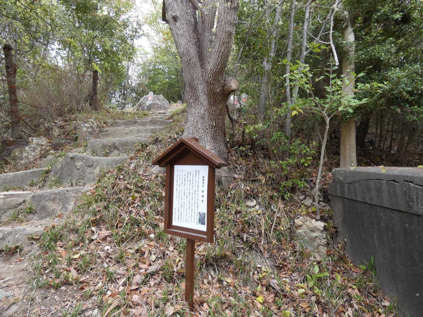 肝心なとこが入ってない😂