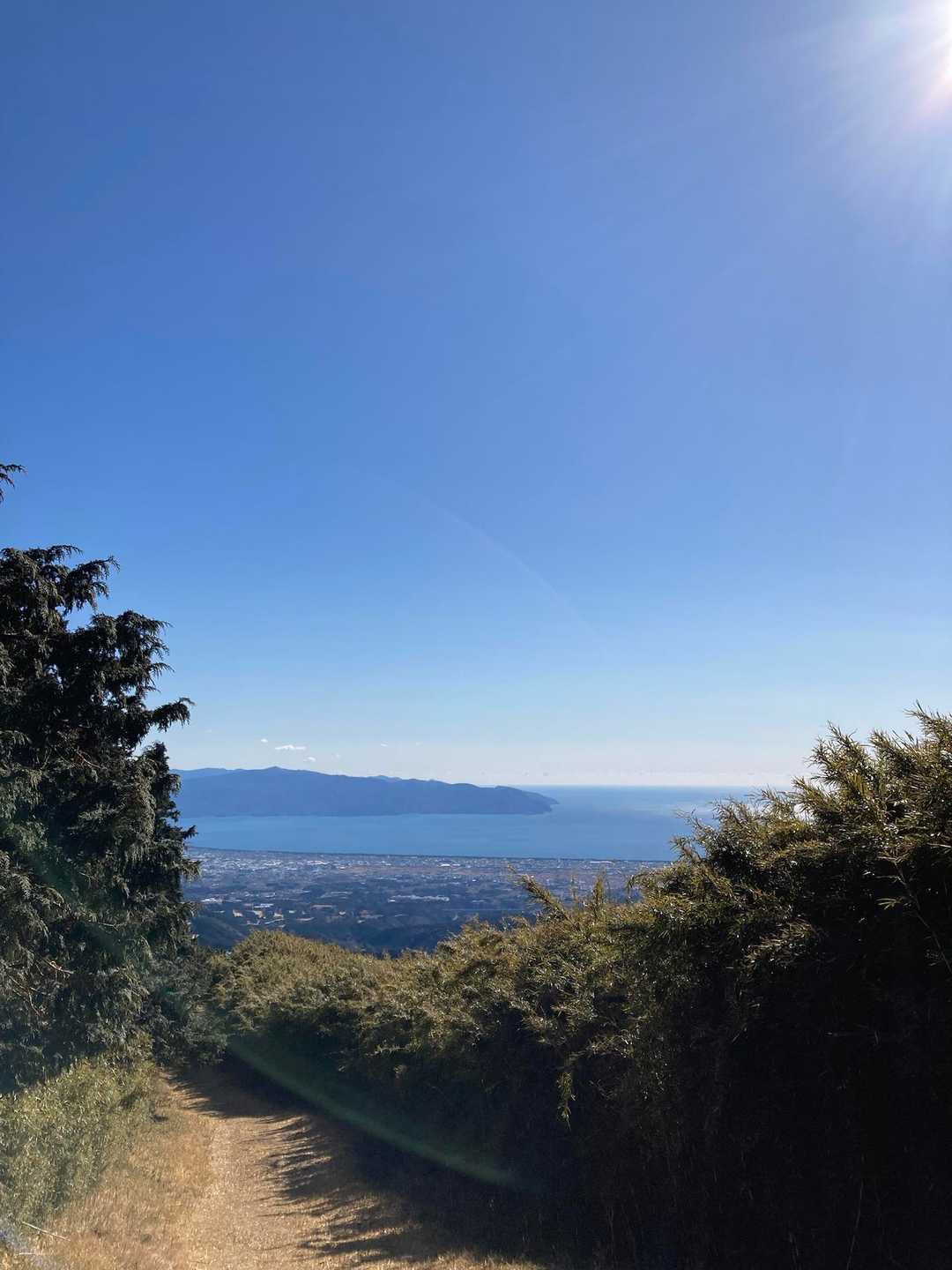 山から見ると駿河湾の広さがすごくわかります‼️