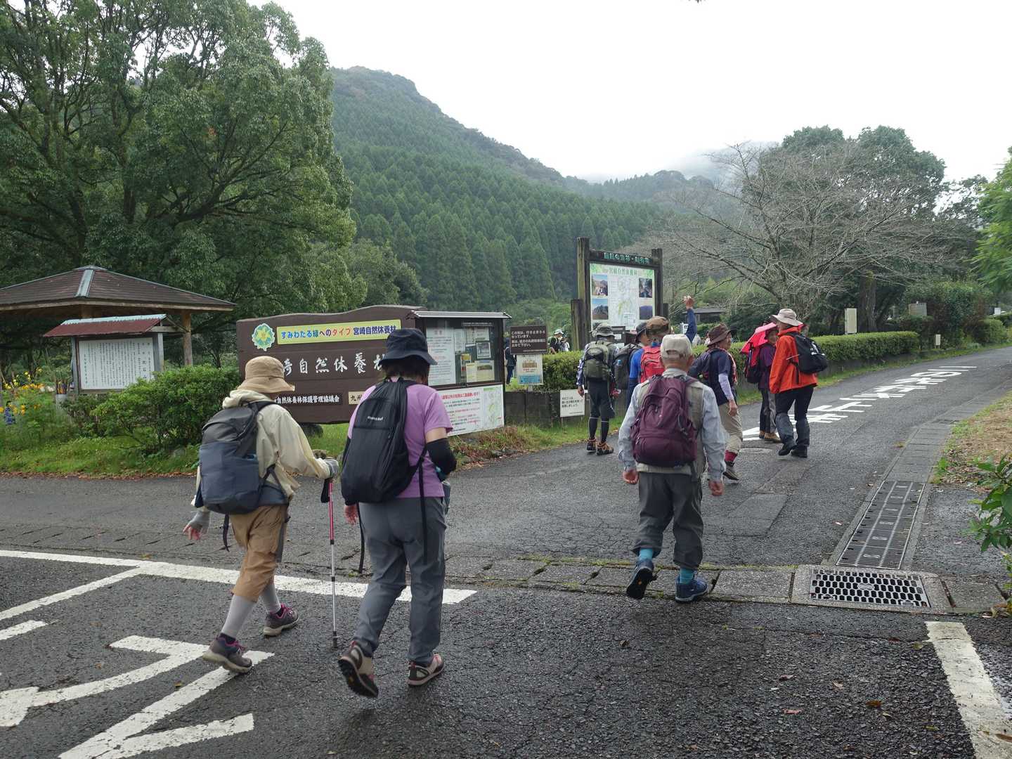 霧雨に映えるキバナノホトトギスと秋の加江田渓谷 / 団塊おじさん2号のハイキングデータ | YAMAP / ヤマップ