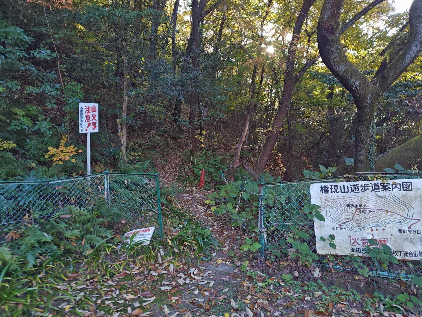 Mさんに触発され
予定外の権現山へも行ってみよう✊