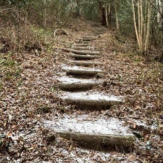 階段が続きます　