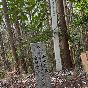 ラストの経塚に🎖️✨

さぁ、降りて府庁山に向かいます