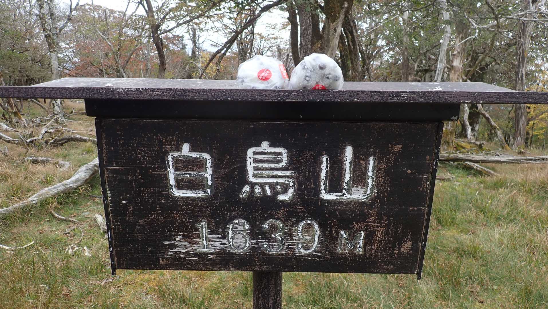 本日3回めの白鳥山。ここで85歳の鹿児島からのソロの方とおしゃべり。今日唯一出会った登山者でした。