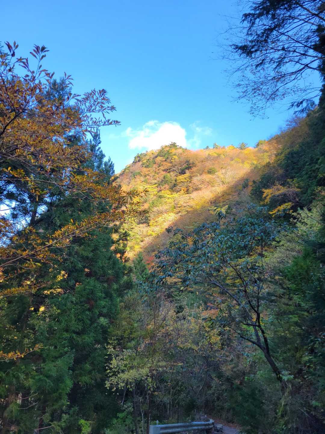 迷岳 往復コースの写真