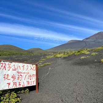 左の二つが双子山（下二ツ塚・上二ツ塚）
そして、宝永山に富士山／^o^＼