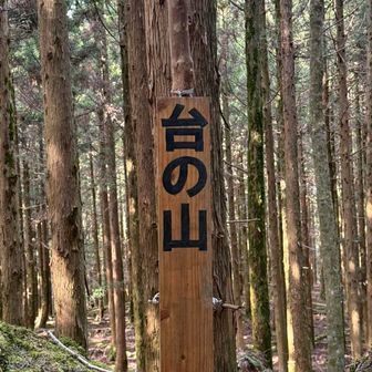 結構ズレた所にありました🪧