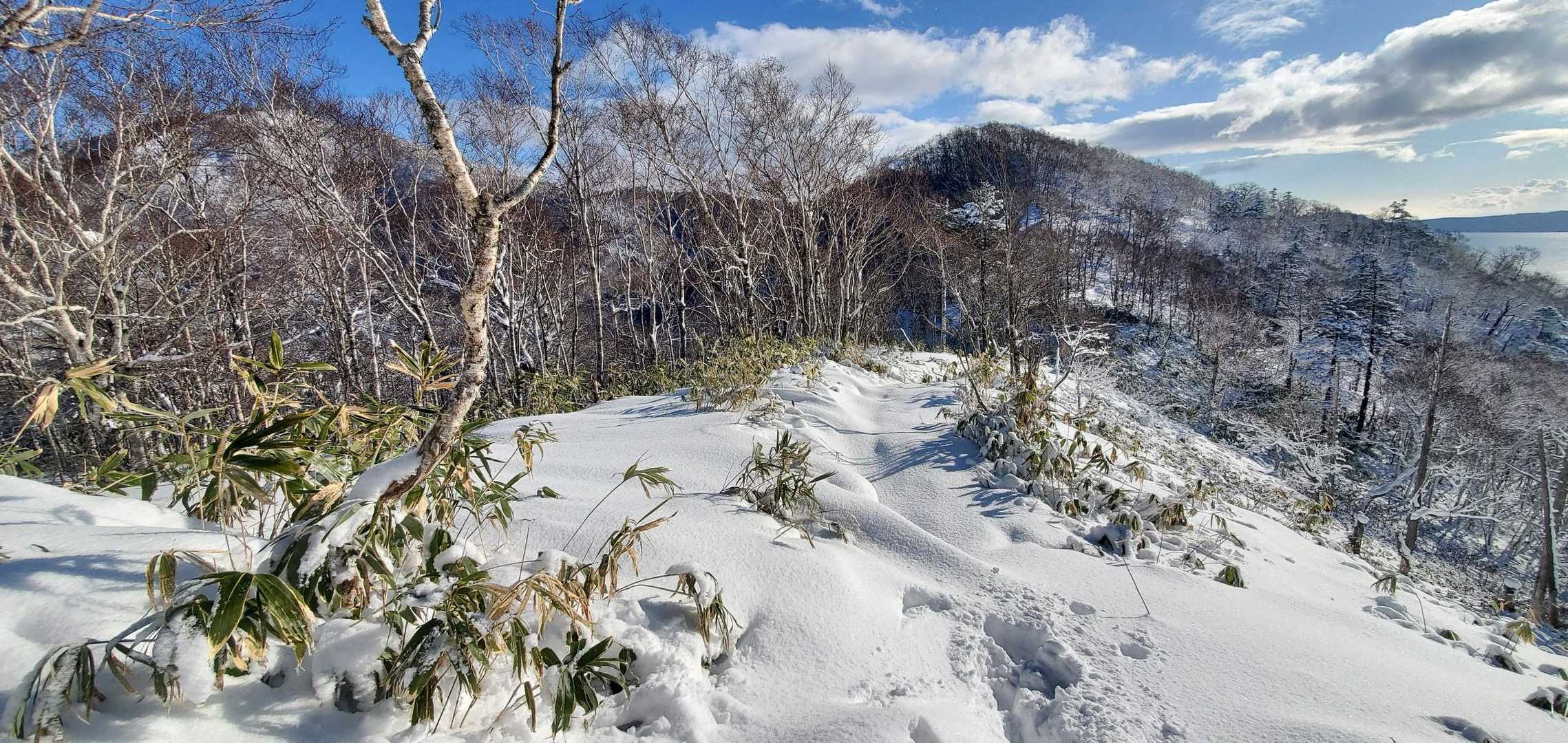 幌平山へは一級トレースがあるのにイチャンコッペ山へはラッセルでした💦