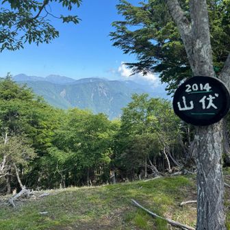 奥に見える山々が大変綺麗でした。