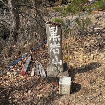 写真写りは平凡な、三角点付きの山頂