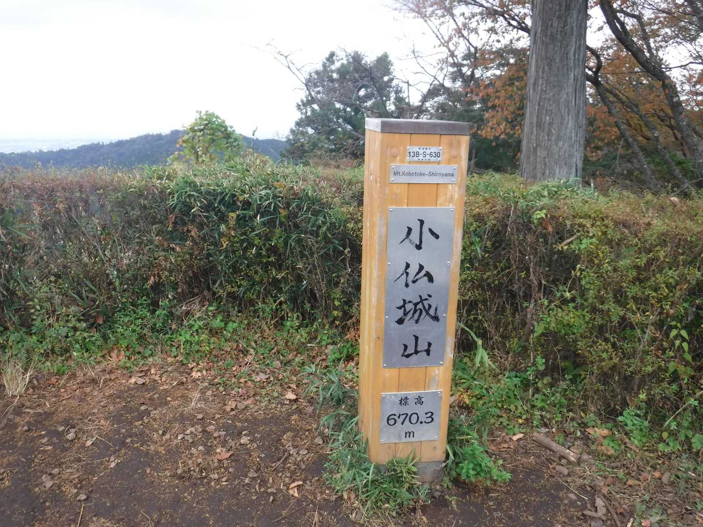 小仏城山到着。