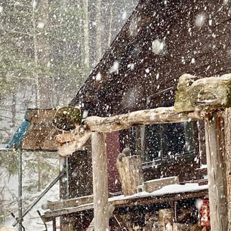 吹雪いている中まるまるしたリス🐿️丸太の🪵上でなにをしてるのか?