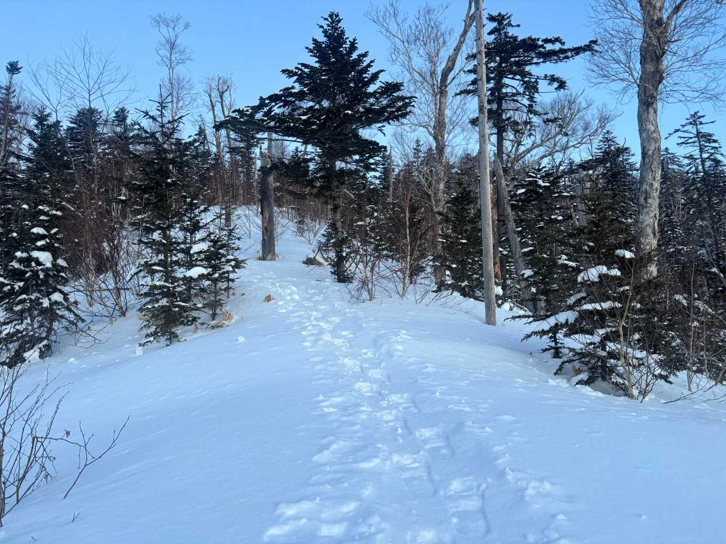 先週十勝地方は連日の降雪でお山の積雪量心配してたけどしっかりとトレースありはメッチャ有り難い‼️🙇‍♂️